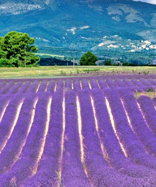 Uma linda vista de: Provence