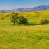 Închirieri auto ieftine în San Diego County