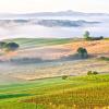 Aluguel de carro barato em Toscana