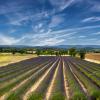 Edullinen autonvuokraus alueella Provence-Alpes-Côte d'Azur