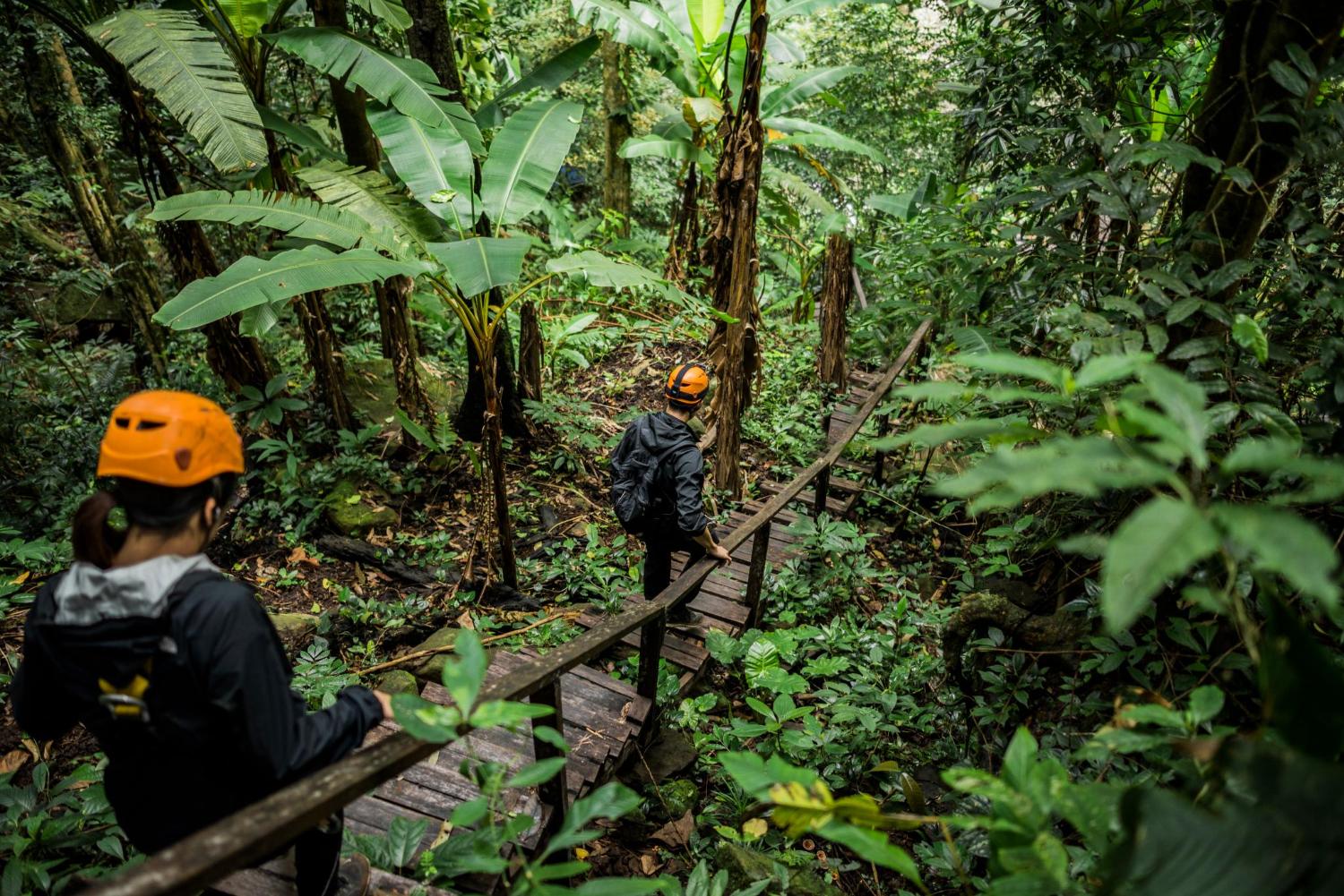 Senderistas cruzando un puente de madera en el bosque de Ban Nongluang, provincia de Champassak, Paksong, en Laos.