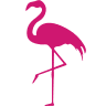 Silver Airways logotipas