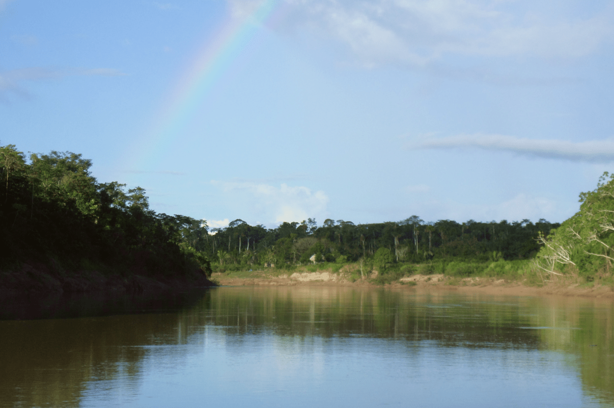 Feuchtgebiete mit einem Regenbogen