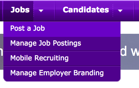 How to post a job on Monster: Jobs Tab