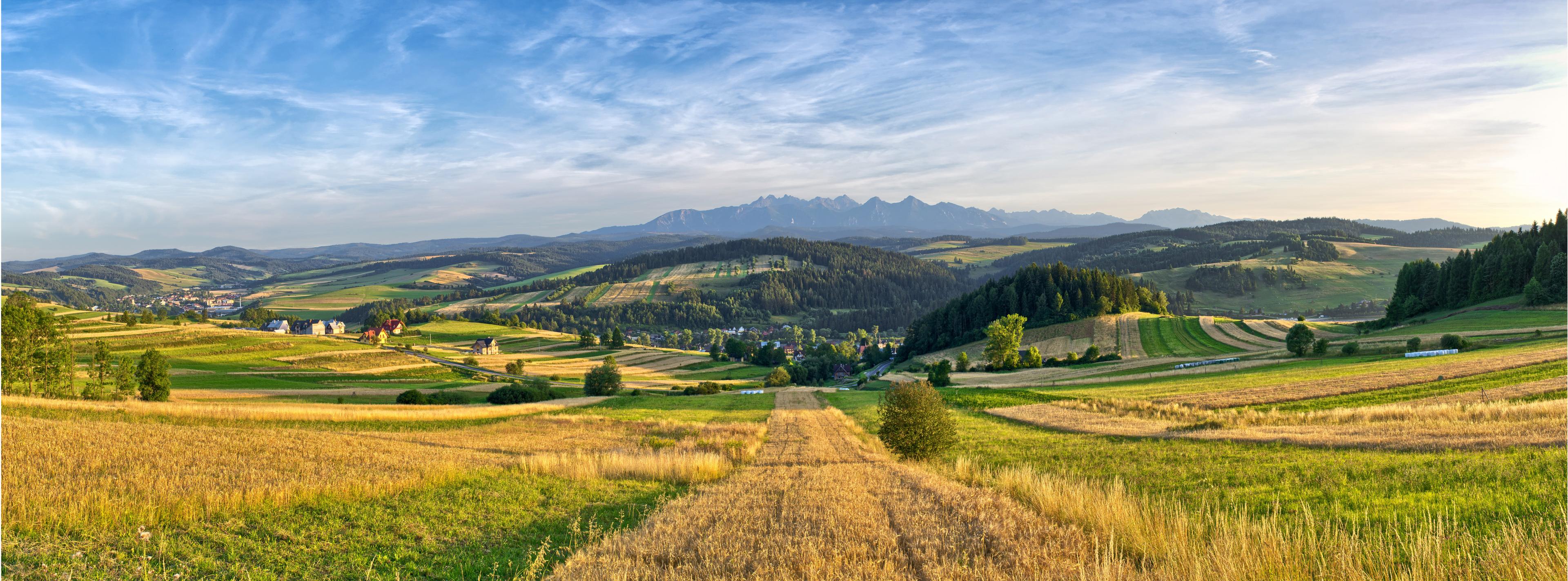 Rural landscape