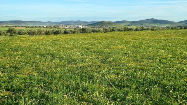 Uno de los terrenos afectados por el proyecto en Santa Cruz de Mudela.