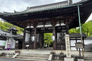 訪れたい「光る君へ」スポット　紫式部が『源氏物語』を着想？石山寺