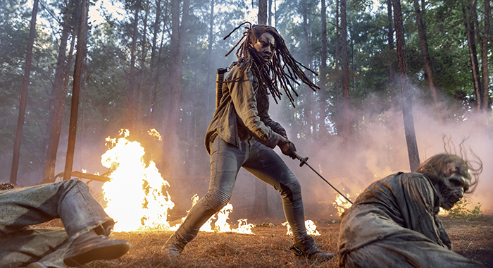 Danai Gurira as Michonne; group - The Walking Dead _ Season 10 - Photo Credit: Jackson Lee Davis/AMC