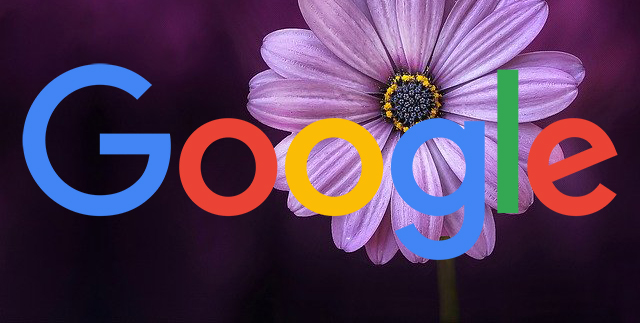 Google Purple