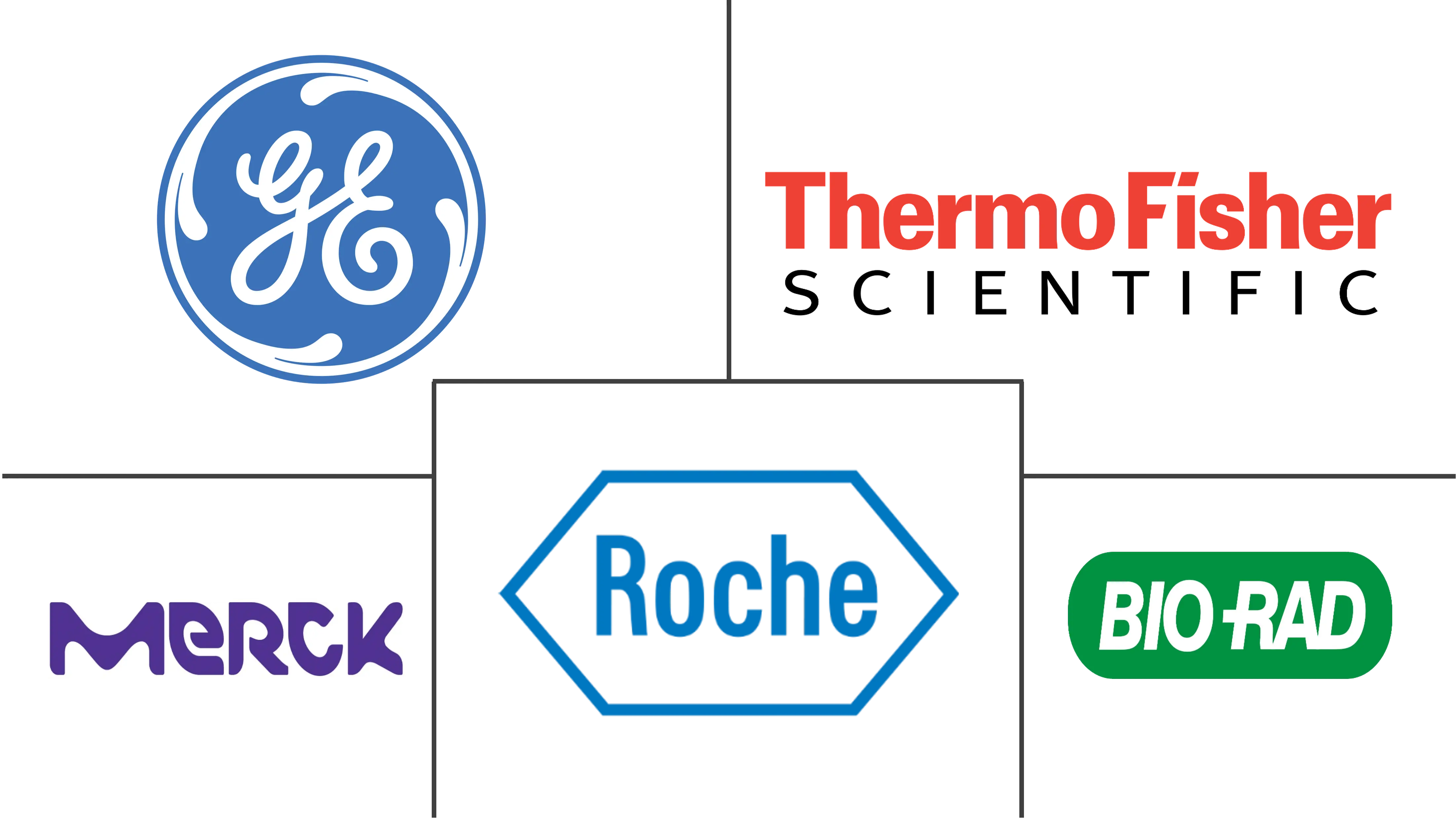 Related Companies Logo