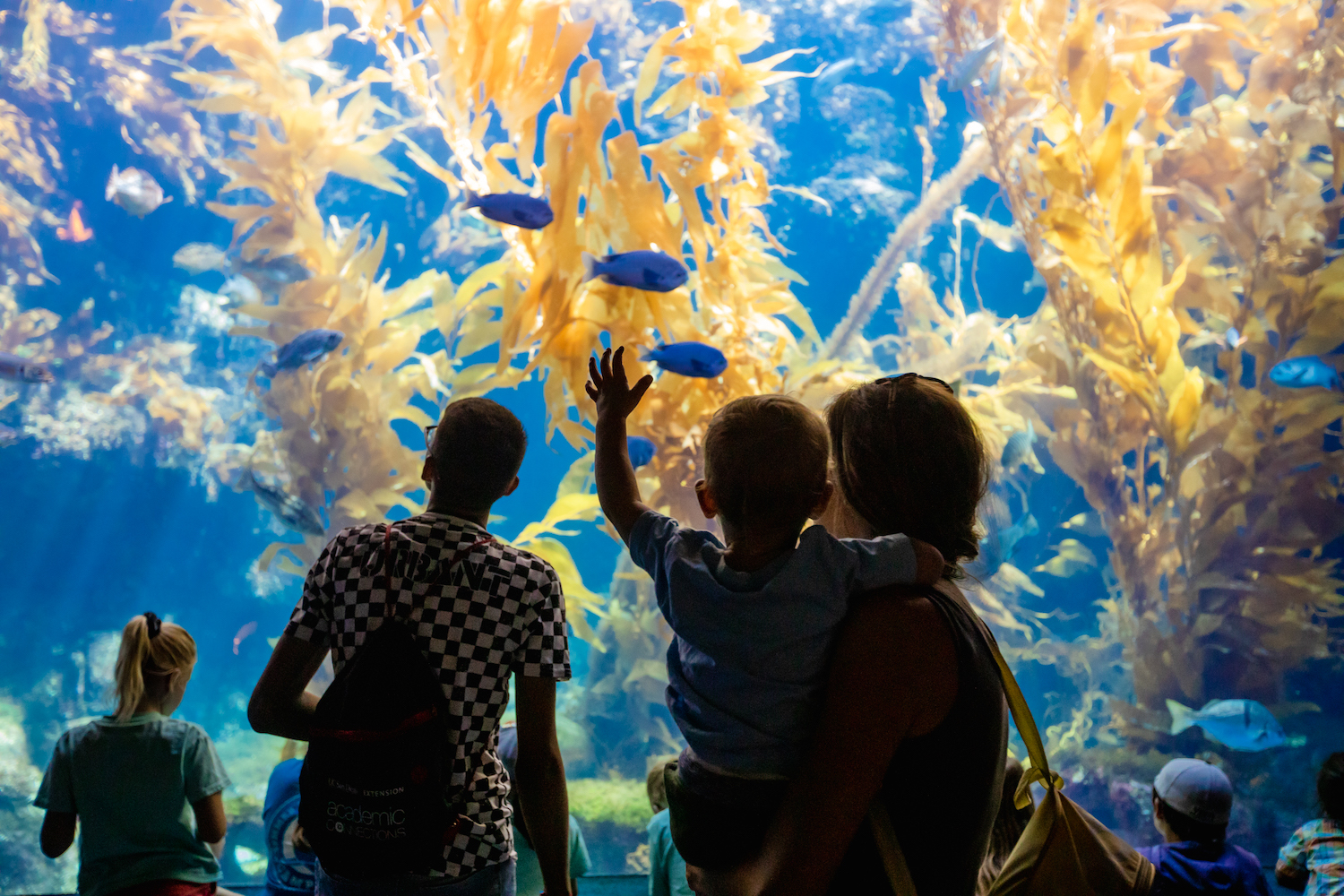 Best of San Diego reader's picks featuring the Birch Aquarium 