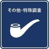 その他・特殊調査