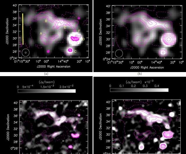 Two radio relics discovered in the galaxy cluster Abell 168