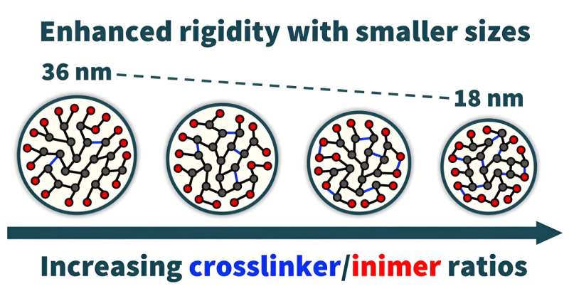 A new class of organic nanoparticles