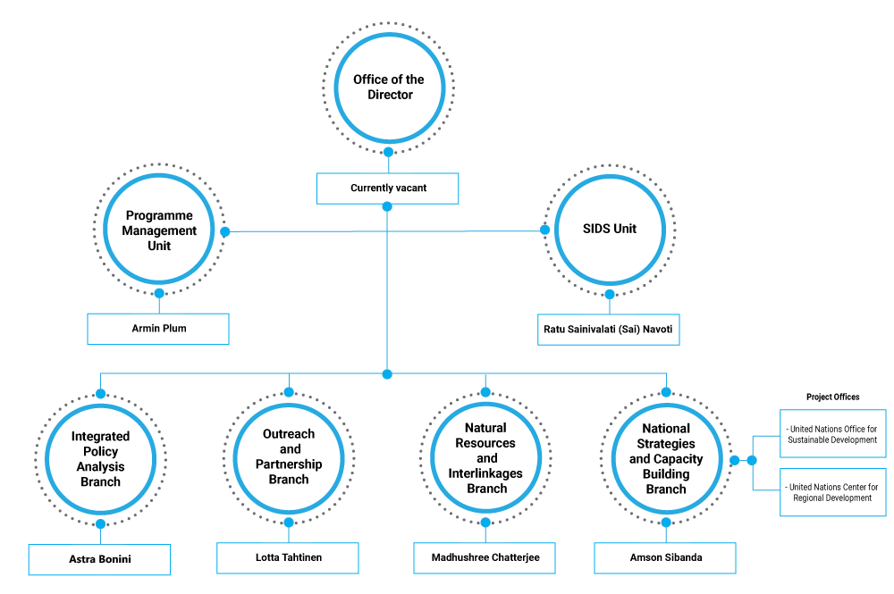 DSDG Organigram