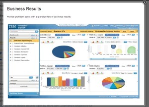 IBM Coremetrics screenshot