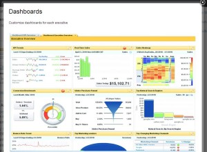 IBM Coremetrics enterprise screenshot