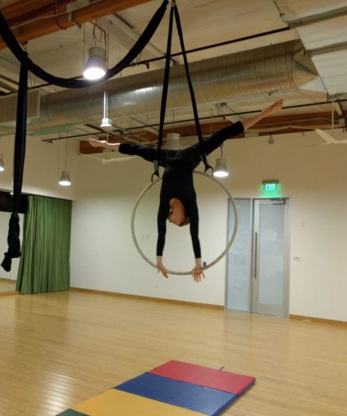 Google Aerial Silks