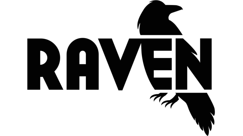 Raven Site Auditor