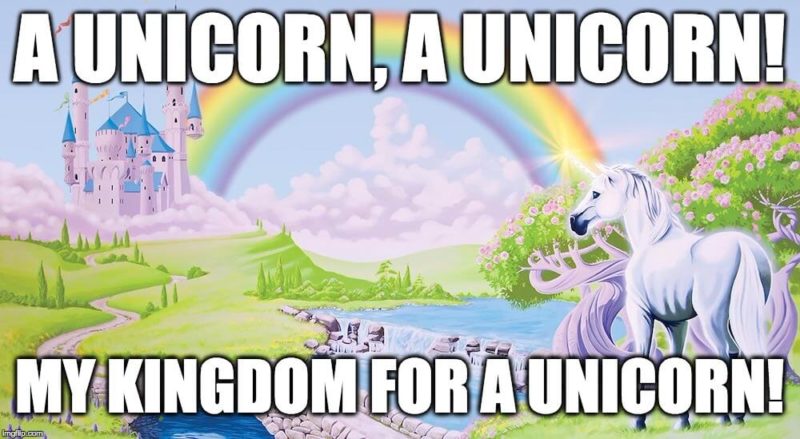 my-kingdom-for-a-unicorn