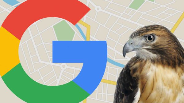 google-local-hawk-update-ss-1920