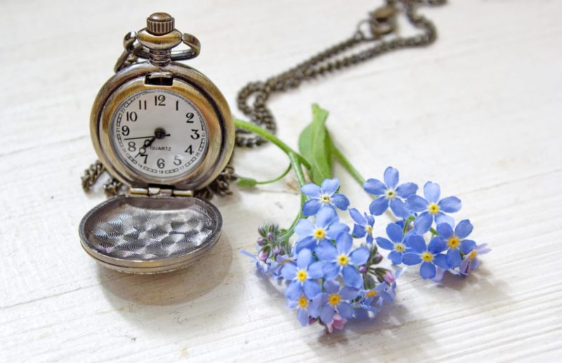 Forget Me Not Timely Pocket Watch Shutterstock 278100614