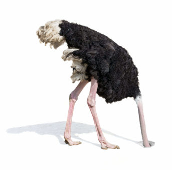 ostrich-ignore-bury-head-in-sand-shutterstock_292631180