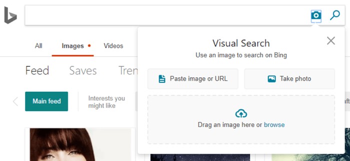 VisualSearchBox.png