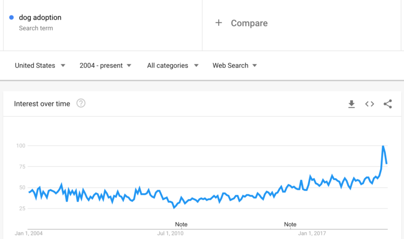 G Trends Dog Adoption 1