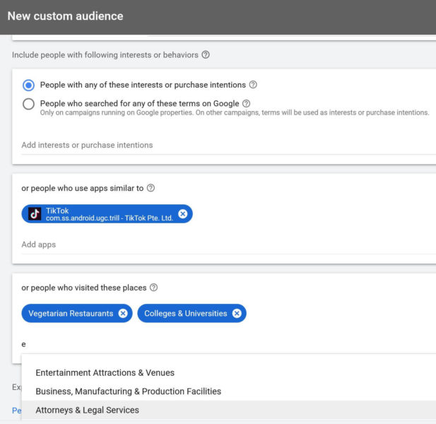 Google Ads Custom Audiences Targeting