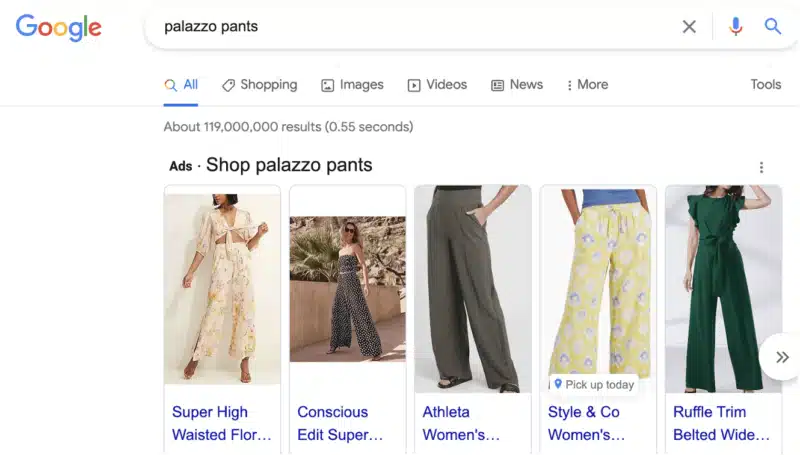 Google search results for "palazzo pants".