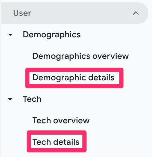 Analytics Demographics And Tech Details Reports Snapshot