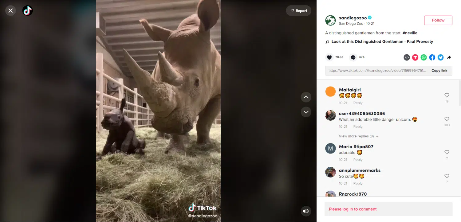 tiktok short-form video example - san diego zoo