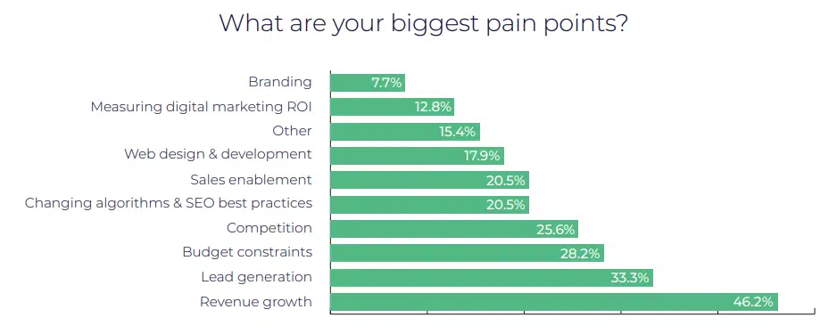 Biggest pain points in 2024 - survey question