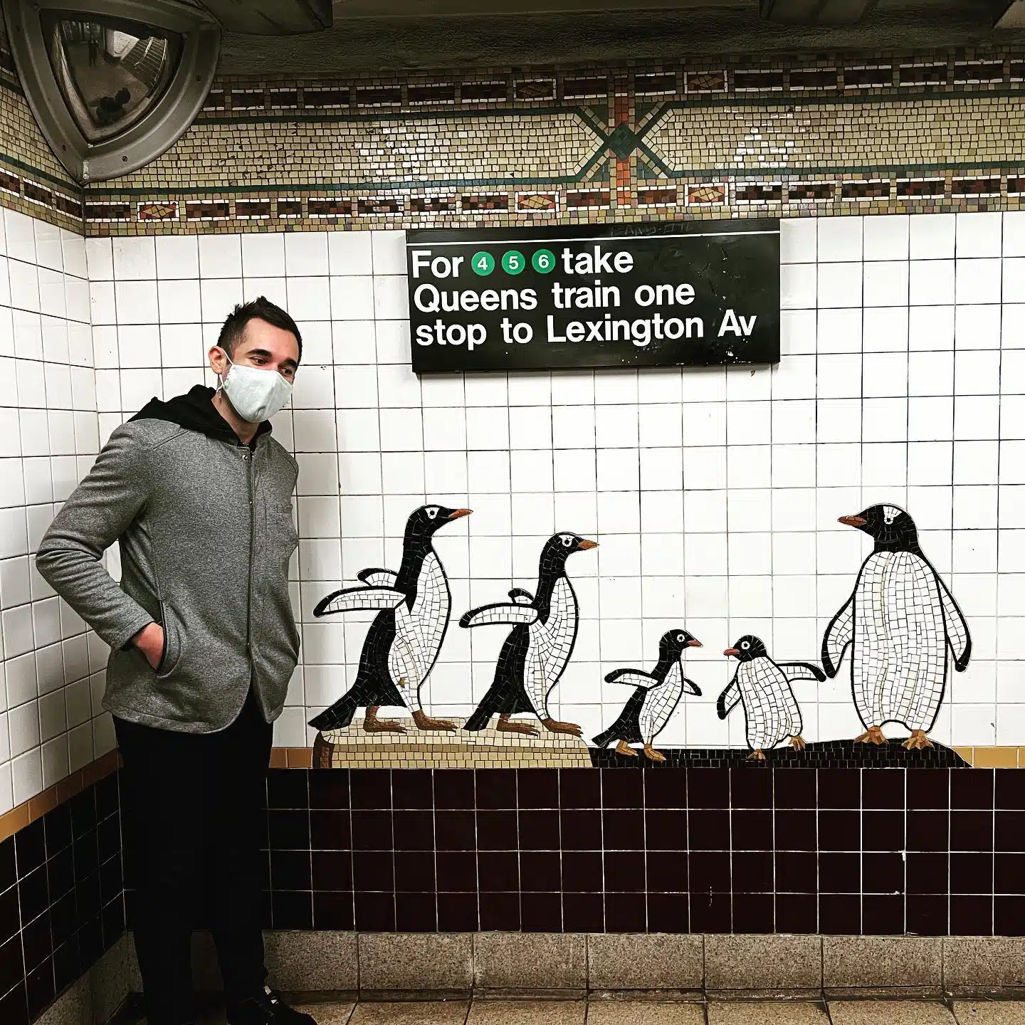 Mark Irvine Loved Penguins