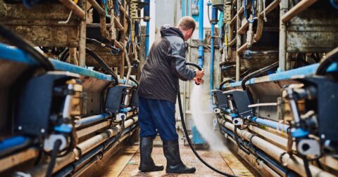 image of man hosing down dairy operation, right to farm laws