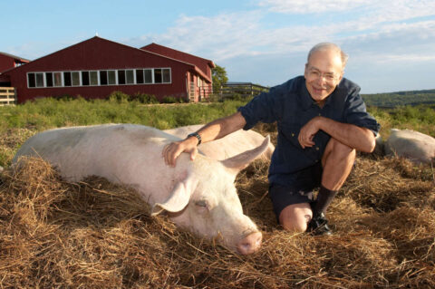 Peter Singer Animal Liberation