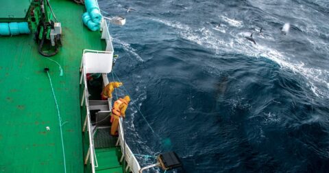 Stormy seas beside the purse seiner (January 2019   Antarctica))