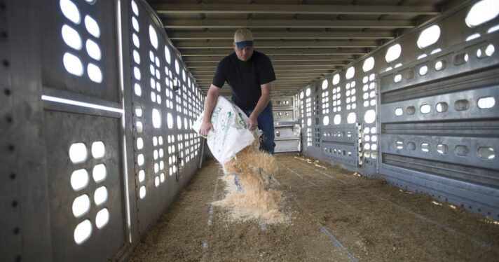 pig farmer