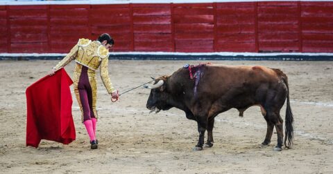 bullfighting