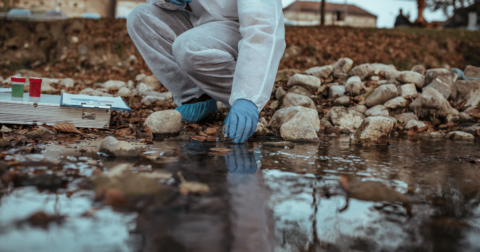 toxic water testing