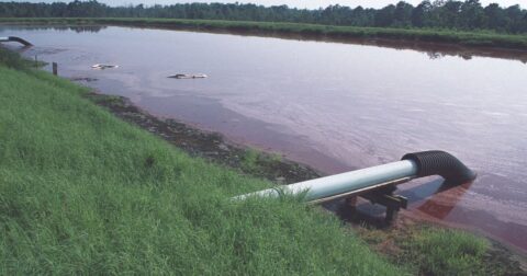 North Carolina manure lagoon storage, pork industry marketing