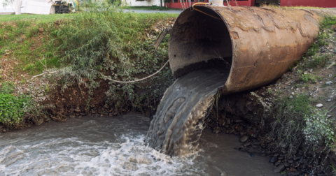 Dirty sewage from pipe flowing into water