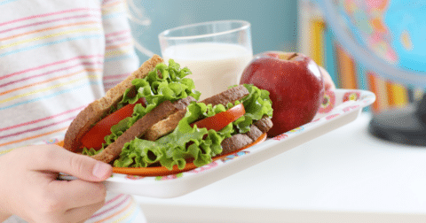 School lunch of sandwich, apple and milk