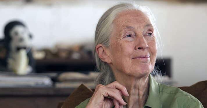 Closeup of Jane Goodall