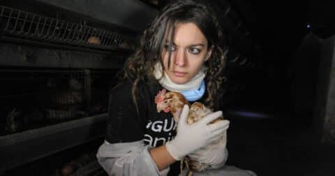 At a Spanish egg production facility, Animal Equality activist Maria Gonzalez Sola holds a hen being rescued from one of the facility's battery cages.