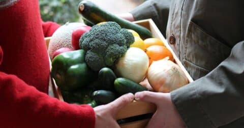 Closeup of two people exchanging a box of produce.