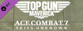 ACE COMBAT™7: SKIES UNKNOWN - TOP GUN: Maverick Aircraft Set -