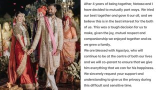 Hardik Pandya, Natasa Stankovic Settle Divorce Rumours As They Confirm Their Separation: 'Tried Our Best Together..'