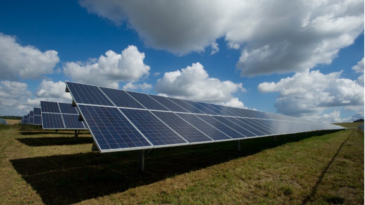 Wat zijn de beste zonnepanelen van het moment?